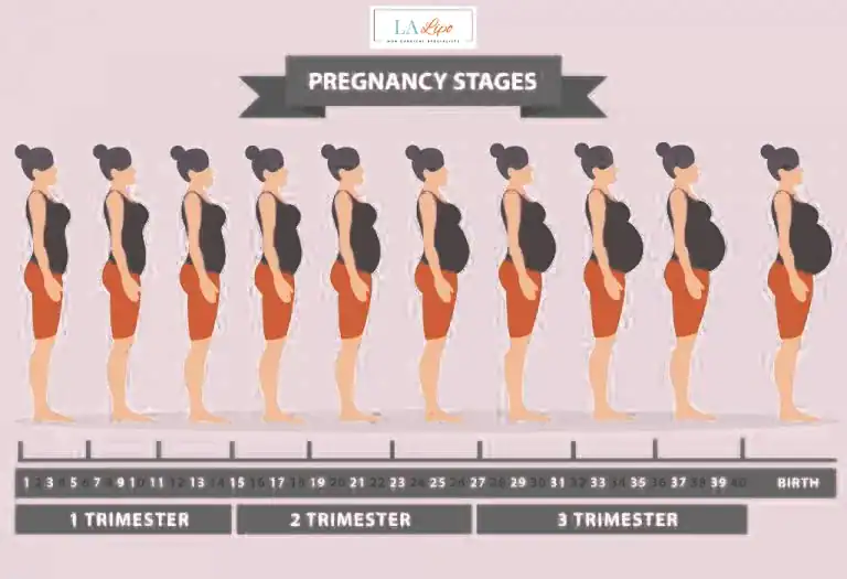 First Trimester (Weeks 1–12): Early Changes You Might Not Notice Hounslow